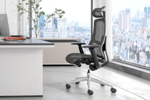 Hign back adjustable ergonomic office chair in Manager's Office Vaseat T2