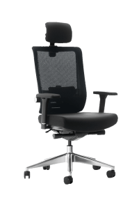 Executive Ergonomic Office Chair 45° Black