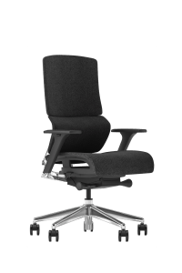 Dynamic Lumbar support Ergonomics chair X6-BM-01