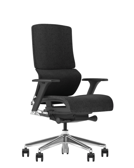 Dynamic Lumbar support Ergonomics chair X6-BM-01