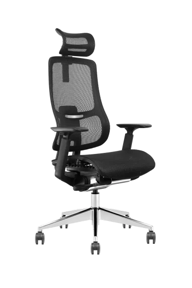 ergonomic office chair with mesh back and adjustable armrests