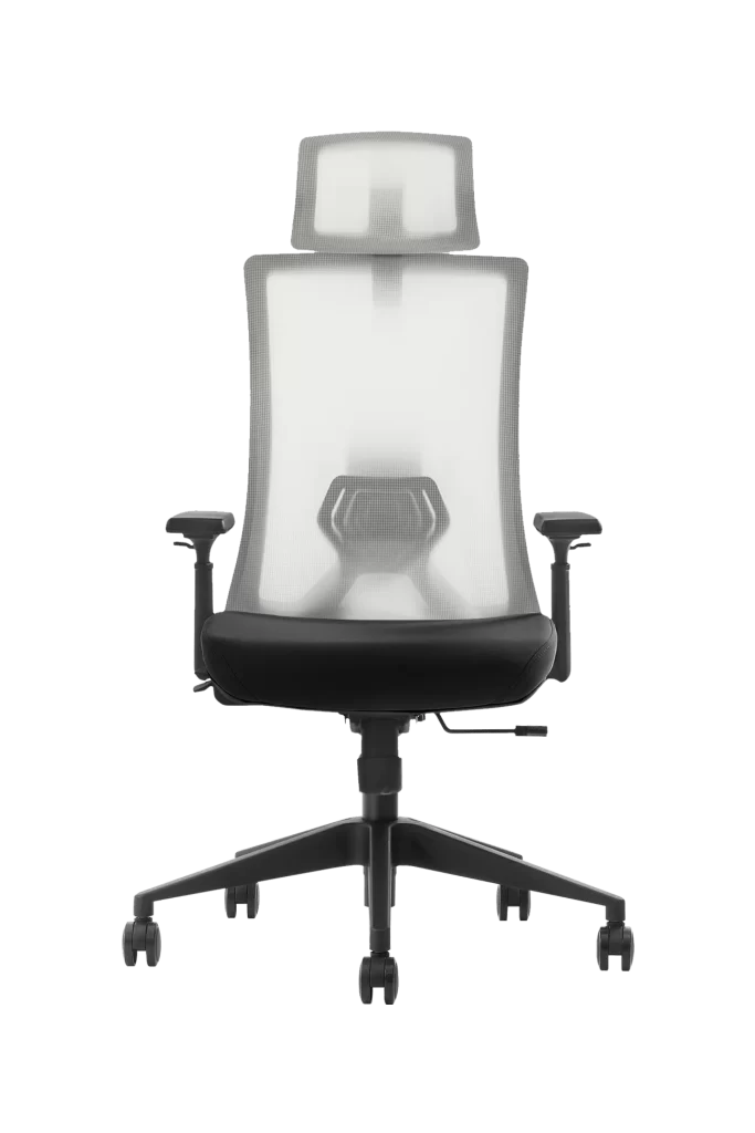 ergonomic office chair with mesh back and adjustable armrests