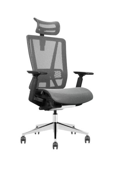 ergonomic office chair with mesh back and adjustable armrests