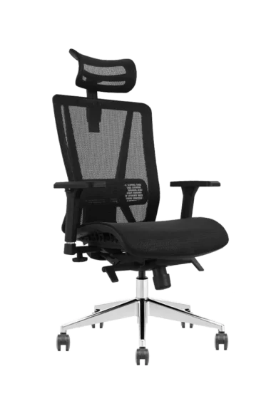 ergonomic-office-chair-with-mesh-back-and-headrest