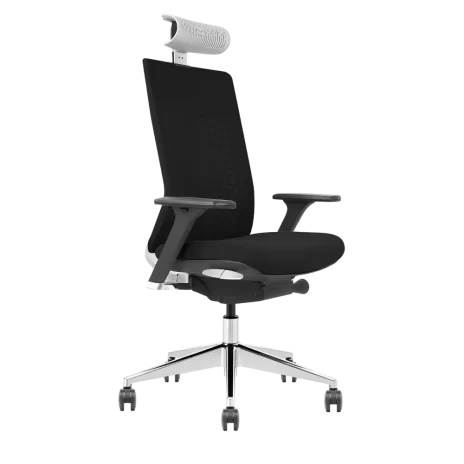 ergonomic-office-chair-with-headrest