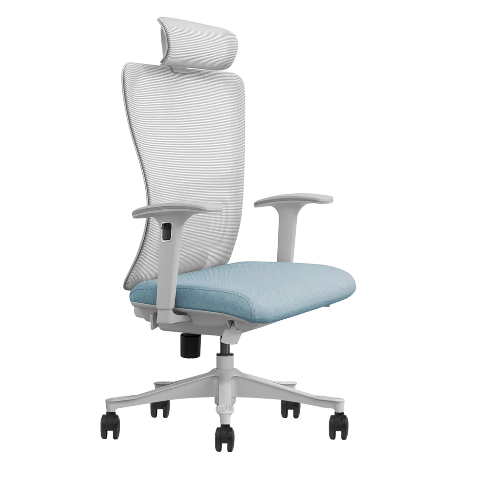 ergonomic-office-chair-blue-fabric-mesh-back.png
