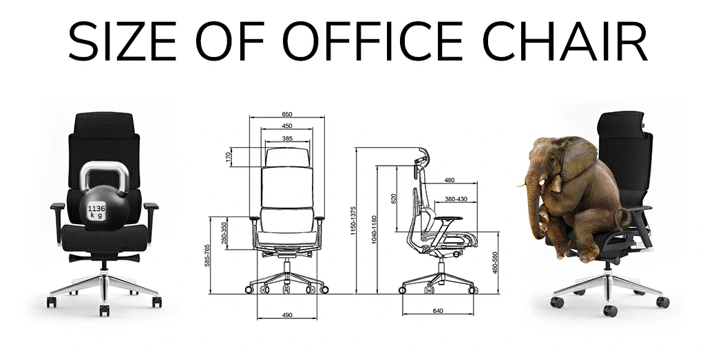 office-chair-sizes-and-elephant