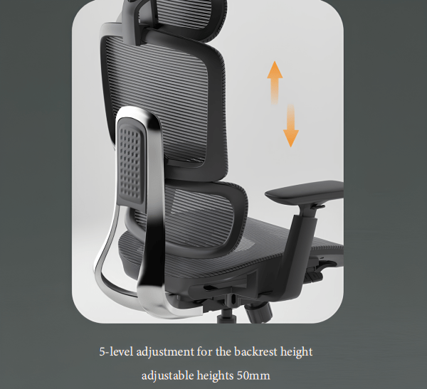 office chair with backrest adjustability