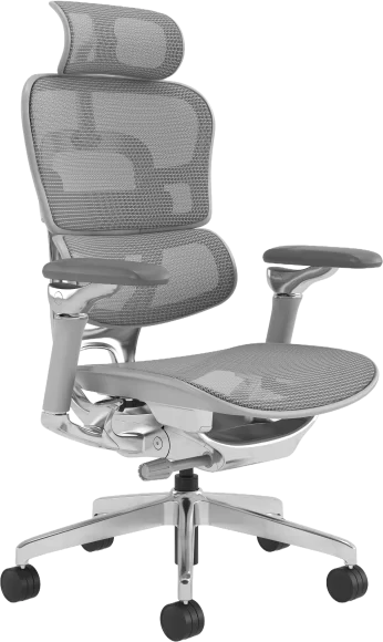 ergonomic-office-chair-with-mesh-back-and-adjustable-arms