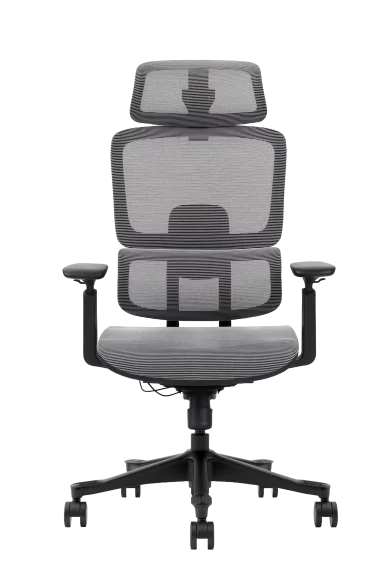 ergonomic-office-chair-with-mesh-back-and-seat